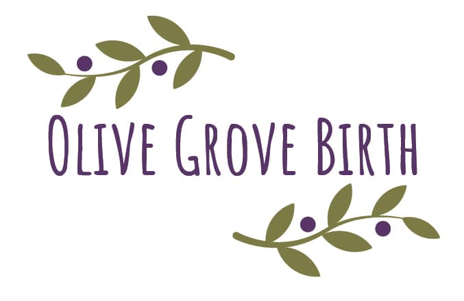 olive grove birth logo, logo design